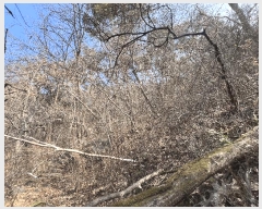  2025Ÿ��10233 �泲 �о�� �ʵ��� ��Ȳ�� 853-1      ����(����)���