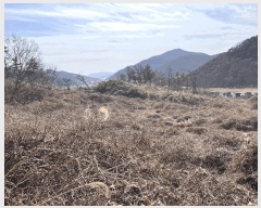  2025Ÿ��10233 �泲 �о�� �ʵ��� ��Ȳ�� 853-1      ����(����)���