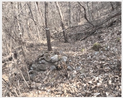  2025Ÿ��10233 �泲 �о�� �ʵ��� ��Ȳ�� 853-1      ����(����)���