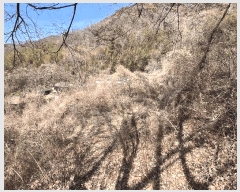  2025Ÿ��10233 �泲 �о�� �ʵ��� ��Ȳ�� 853-1      ����(����)���