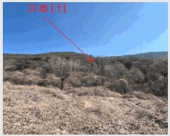  2025Ÿ��10242 �泲 �о�� ����� ������ 1357-1      ����(��1)���