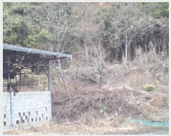  2025Ÿ��10242 �泲 �о�� ����� ������ 1357-1      ����(��1)���