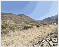  2025Ÿ10249 泲 о   759      (1)