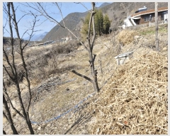  2025Ÿ10249 泲 о   759      (1)