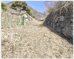  2025Ÿ10249 泲 о   759      (1)