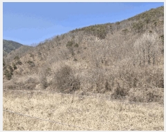  2025Ÿ10249 泲 о   759      (1)