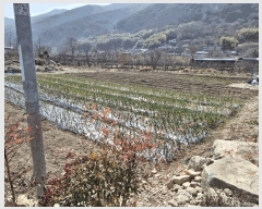  2025Ÿ10249 泲 о   759      (1)