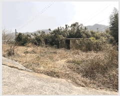  2025Ÿ10274 泲 â籺  긮 400      ð