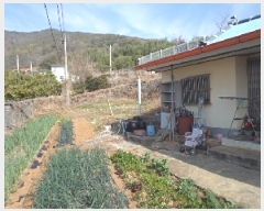  2025Ÿ10274 泲 â籺  긮 400      ð