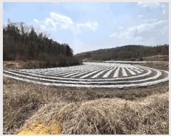  2025Ÿ��10289  �����