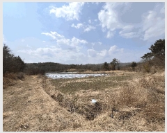  2025Ÿ��10289  �����