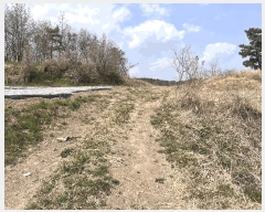  2025Ÿ��10289  �����