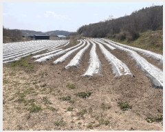  2025Ÿ��10289  �����