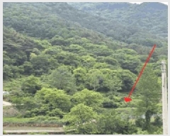  2025Ÿ��10295 �泲 �о�� ����� ������ 1281      ����(�Ӿ�)���