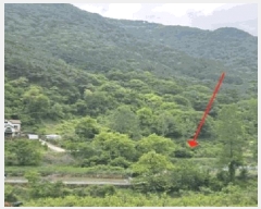  2025Ÿ��10295 �泲 �о�� ����� ������ 1281      ����(�Ӿ�)���