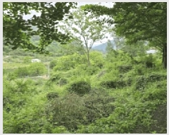  2025Ÿ��10295 �泲 �о�� ����� ������ 1281      ����(�Ӿ�)���