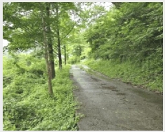  2025Ÿ��10295 �泲 �о�� ����� ������ 1281      ����(�Ӿ�)���