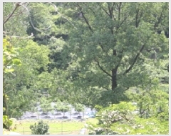  2025Ÿ��10295 �泲 �о�� ����� ������ 1281      ����(�Ӿ�)���