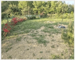  2025Ÿ��10299  �����