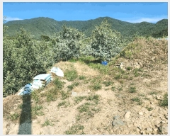  2025Ÿ��10303 �泲 �о�� �곻�� �۹鸮 881      ����(��)���