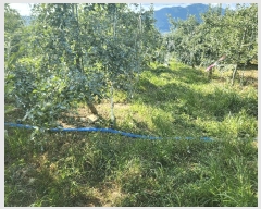  2025Ÿ��10303 �泲 �о�� �곻�� �۹鸮 881      ����(��)���