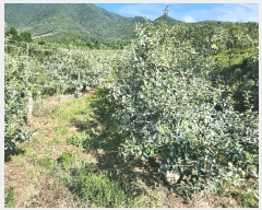  2025Ÿ��10303 �泲 �о�� �곻�� �۹鸮 881      ����(��)���