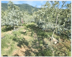  2025Ÿ��10303 �泲 �о�� �곻�� �۹鸮 881      ����(��)���