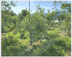  2025Ÿ��10303 �泲 �о�� �곻�� �۹鸮 881      ����(��)���