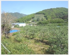  2025Ÿ��10303 �泲 �о�� �곻�� �۹鸮 881      ����(��)���