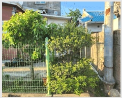  2025Ÿ��10305  �������