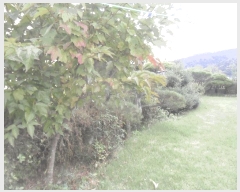  2025Ÿ��10307 �泲 �о�� û���� �λ긮 638-2      ���ð��