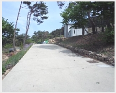  2025Ÿ��10310  �Ӿ߰��