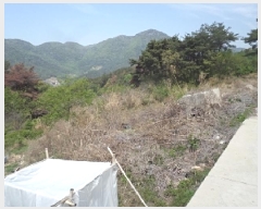  2025Ÿ��10310  �Ӿ߰��