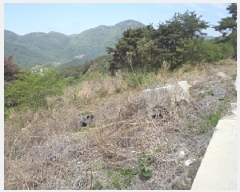  2025Ÿ��10310  �Ӿ߰��