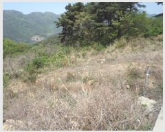  2025Ÿ��10310  �Ӿ߰��