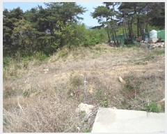  2025Ÿ��10310  �Ӿ߰��