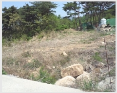  2025Ÿ��10310  �Ӿ߰��