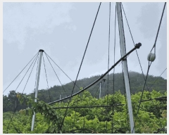  2025Ÿ��10324  �Ӿ߰��