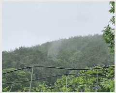  2025Ÿ��10324  �Ӿ߰��