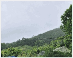  2025Ÿ��10324  �Ӿ߰��