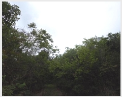  2025Ÿ��10324  �Ӿ߰��