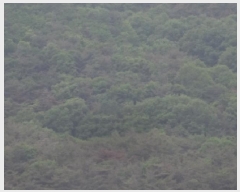  2025Ÿ��10324  �Ӿ߰��