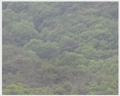  2025Ÿ��10324  �Ӿ߰��