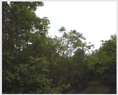  2025Ÿ��10324  �Ӿ߰��