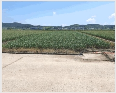  2025Ÿ��10327 �泲 â�籺 ������ â�긮 600      ����(��)���