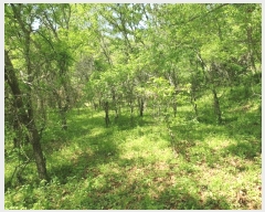  2025Ÿ��10327 �泲 â�籺 ������ â�긮 600      ����(��)���