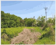  2025Ÿ��10327 �泲 â�籺 ������ â�긮 600      ����(��)���