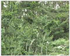  2025Ÿ��10339 �泲 �о�� ������� �� ��208      ����(�Ӿ�)���