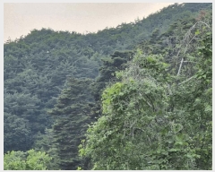  2025Ÿ��10339 �泲 �о�� ������� �� ��208      ����(�Ӿ�)���