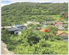  2025Ÿ��10341 �泲 �о�� ���ȸ� ���긮 1040      ����(����)���